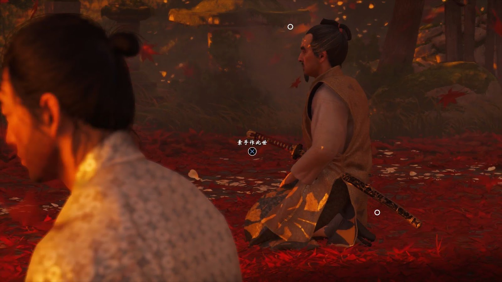 塞尔达传说：旷野之息 年度版 截图10